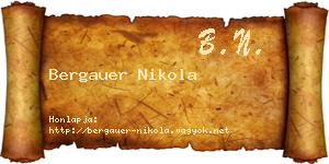 Bergauer Nikola névjegykártya